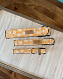 Bright Yellow Daisies Dog Collar