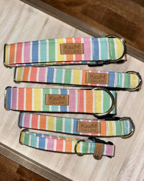 Pastel Rainbow Stripes Dog Collar