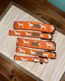 Tennessee White Dogs on Orange Dog Collar