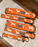 Tennessee White Dogs on Orange Dog Collar
