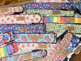 Pride Rainbow Dog Collar