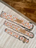 Mini Boho Pumpkins Dog Collar