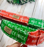Combined Naughty and Nice Martingales