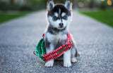 Combined Naughty and Nice Martingales