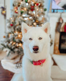 Combined Naughty and Nice Martingales
