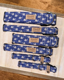 Mini Sharks Dog Collar