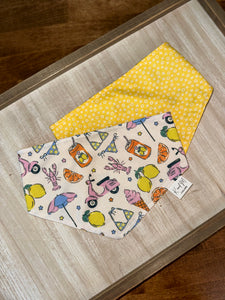 European Summer Reversible Dog Bandana