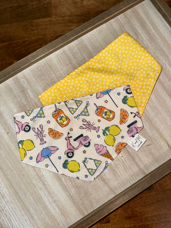 European Summer Reversible Dog Bandana