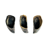 All-Natural Cow Hooves Dog Chews