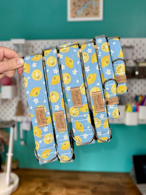 Smiling Lemons Dog Collar