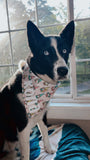 Add Your Pet's Name, Personalize Your Bandana!