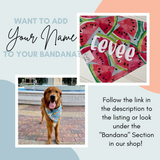 White Paws Dog Bandana